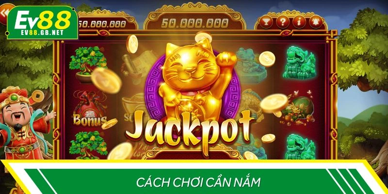 Cách chơi cơ bản